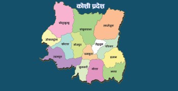 कोशीमा उच्च रक्तचापका बिरामी बढे, झापा बढी प्रभावित